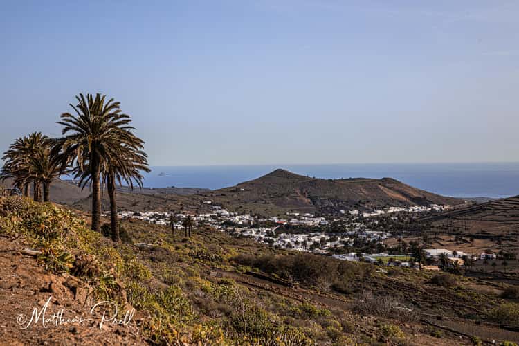 Tal der 1000 Palmen auf Lanzarote