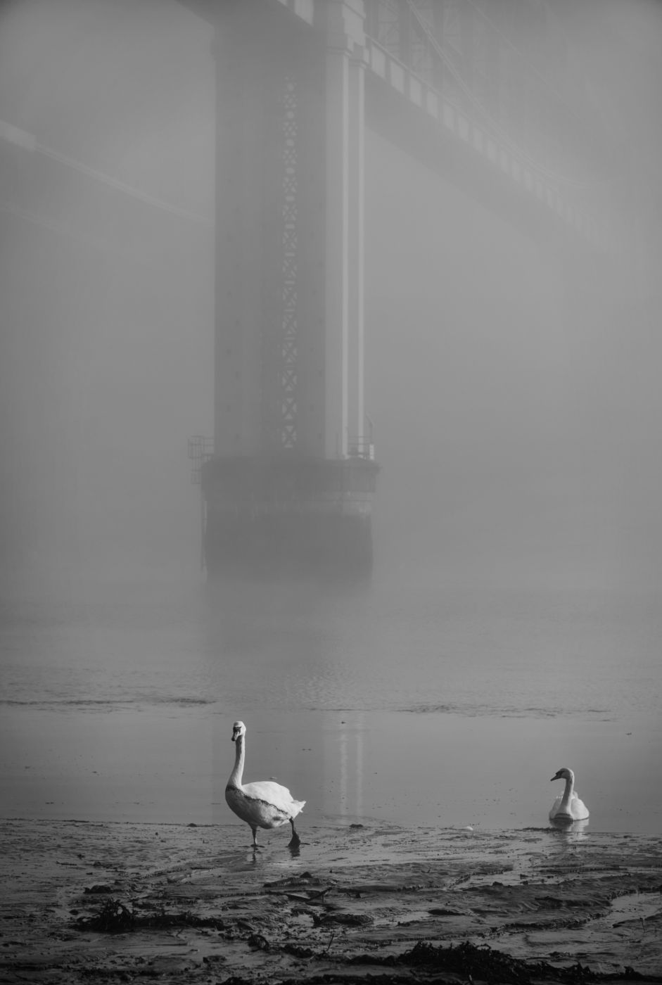 Tamar Bridge, Saltash, United Kingdom