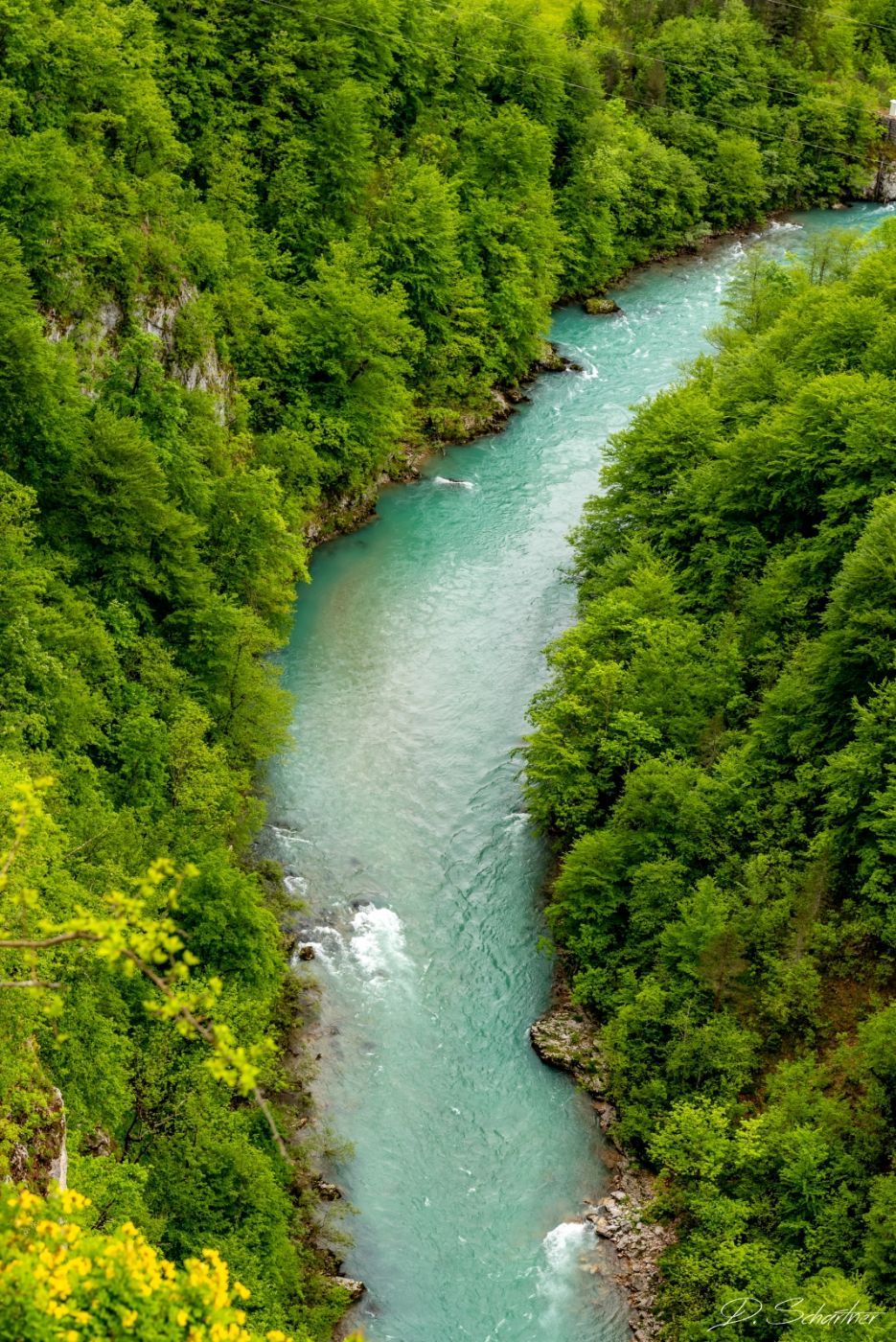 Tara canyon, Montenegro