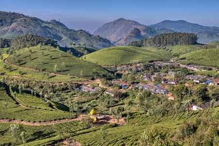 Tea plantation with worker's village and hindu temple