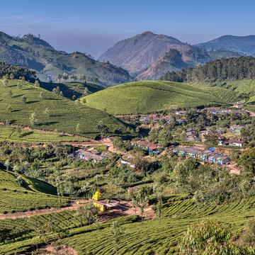 Tea plantation with worker's village and hindu temple, India