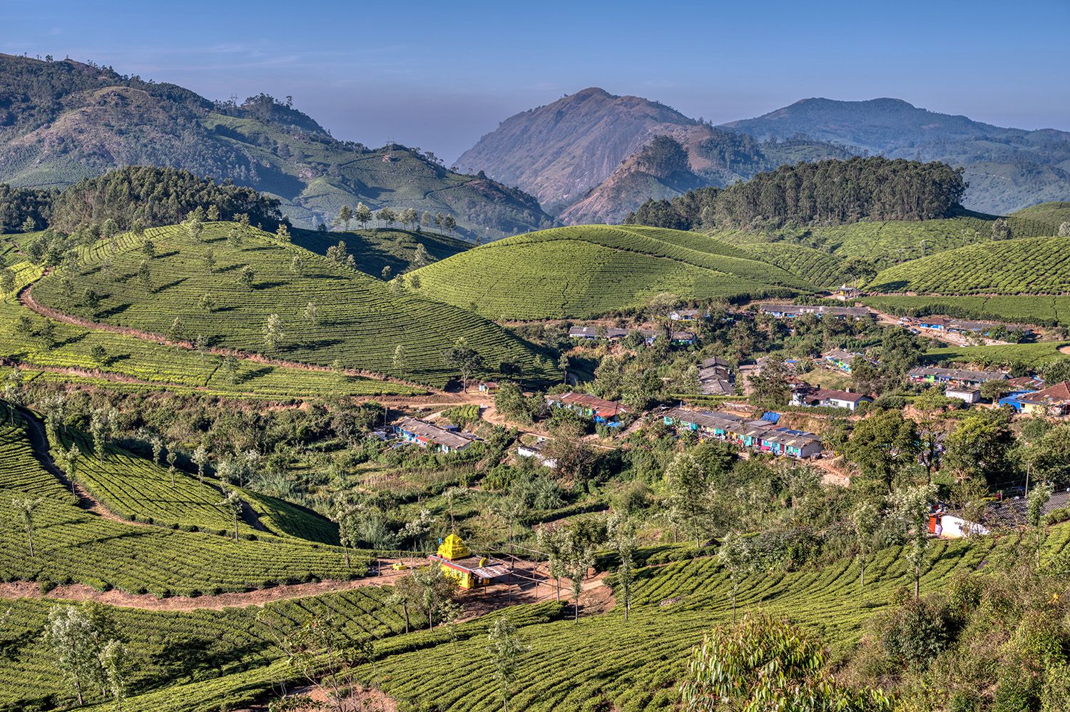 Tea plantation with worker's village and hindu temple, India