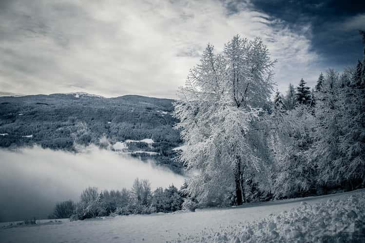 The Frozen Kingdom