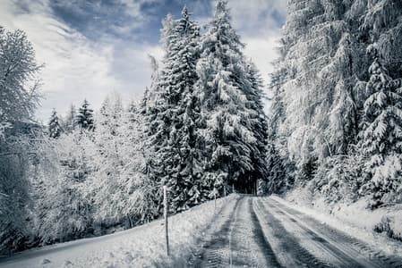 The Frozen Kingdom