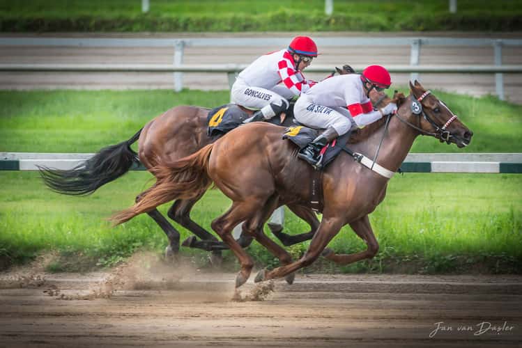The Hipódromo Argentino de Palermo