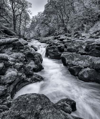 The Strid