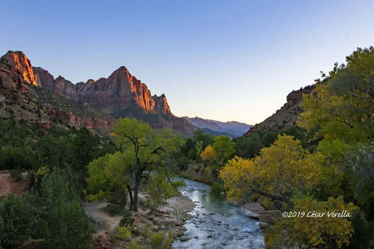 The Watchman