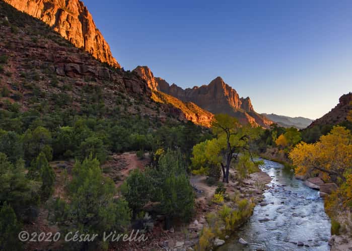 The Watchman