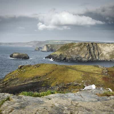 Tintagel Cliffs, United Kingdom