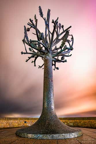 Freedom tree