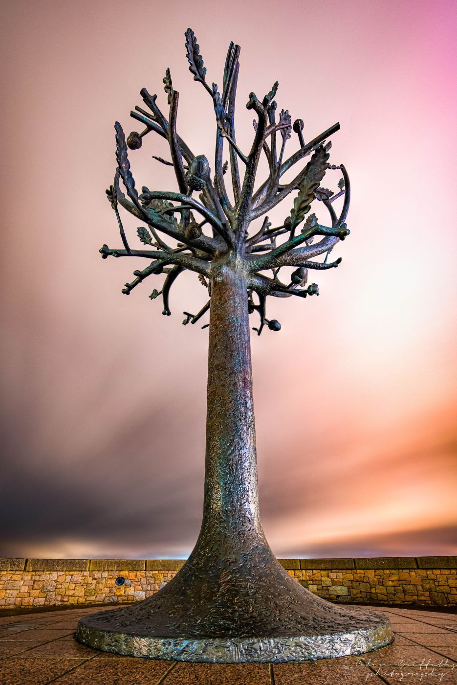 Freedom tree, Jersey