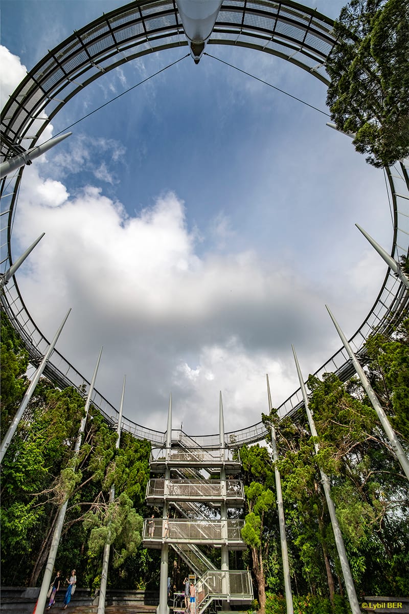 TreeTop walk, Malaysia