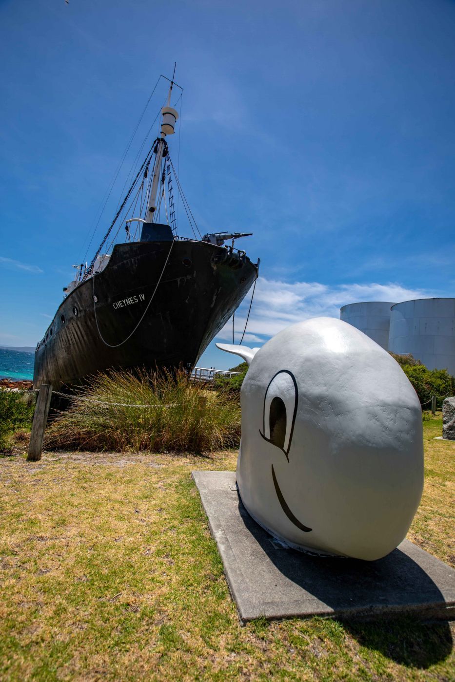 Whale at the Whaling Station Albany ,Western Australia, Australia
