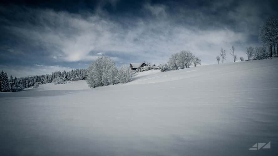 White snowy expanse