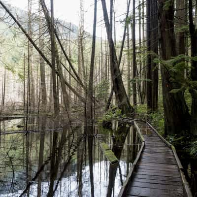 Whyte Lake, West Vancouver, Canada