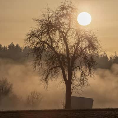 Wolfsberg, Switzerland