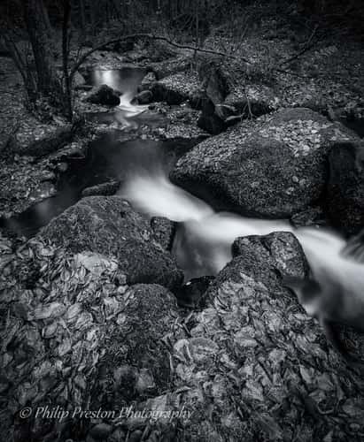 Wyming Brook Nature Reserve, Peak District, UK