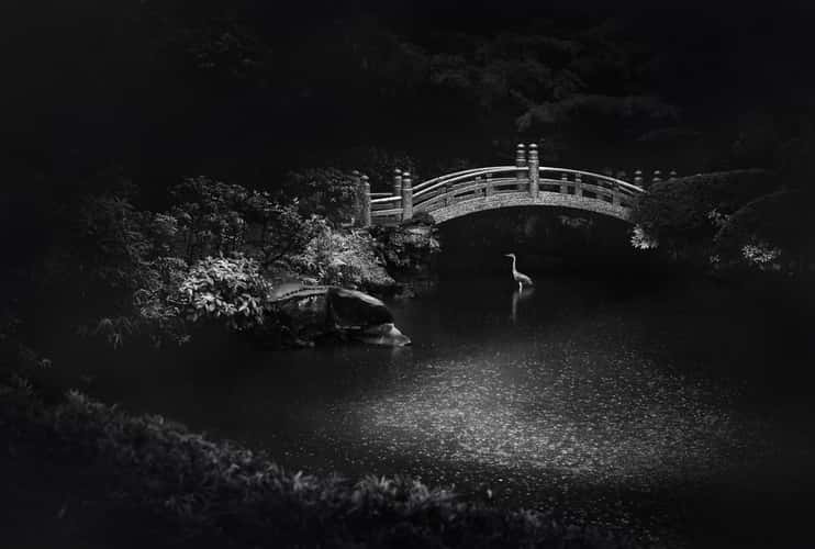 Yasuda garden