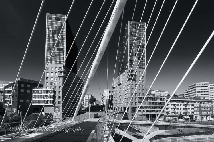 Zubizuri/Puente de Calatrava