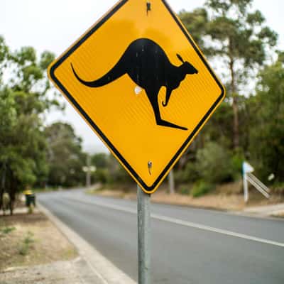 Anglesea Kangaroo Gold Course, Australia