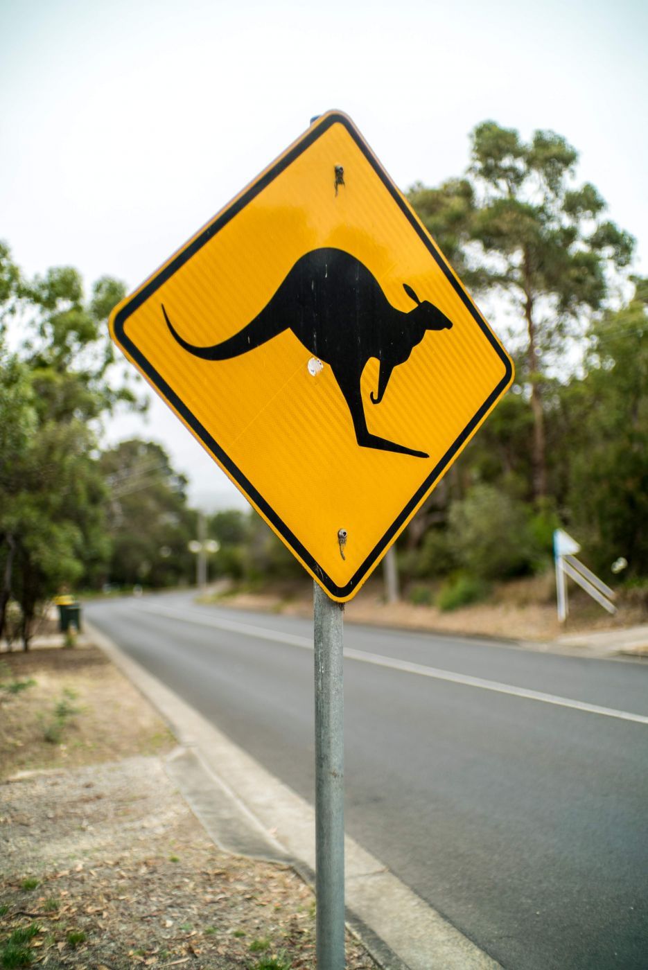 Anglesea Kangaroo Gold Course, Australia