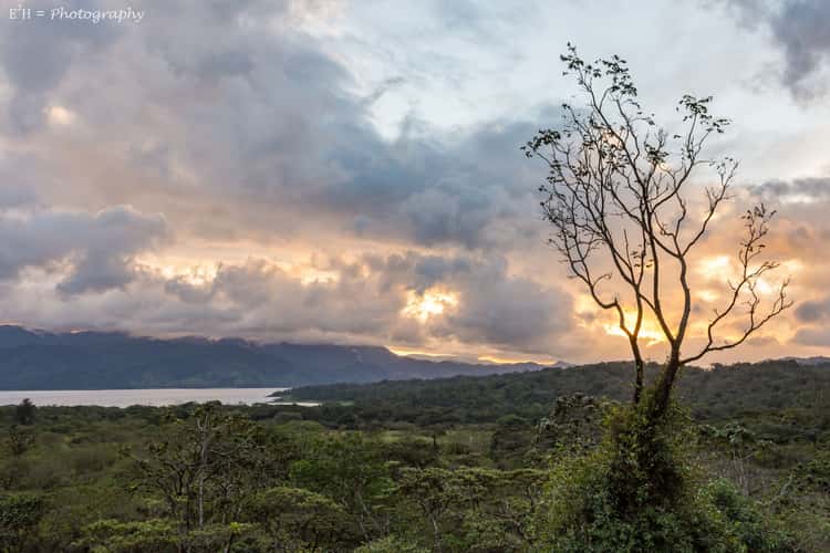 Arenal 1968 Lookout and Trails
