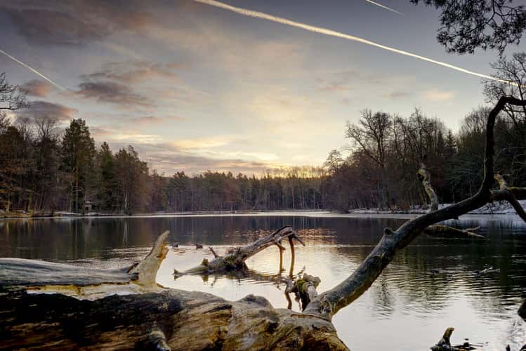 Bärensee/Pfaffensee, Stuttgart