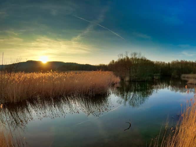 Baggerweier Biodiversum Haff Réimech