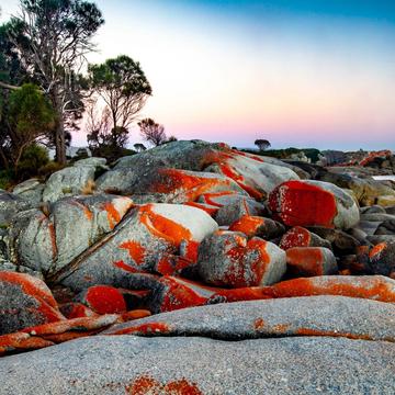 Bay of Fires sunrise, Binalong Bay, Tasmania, Australia