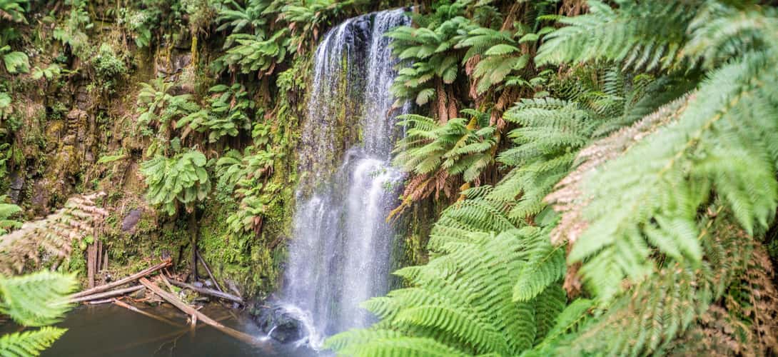 Beauchamp Falls