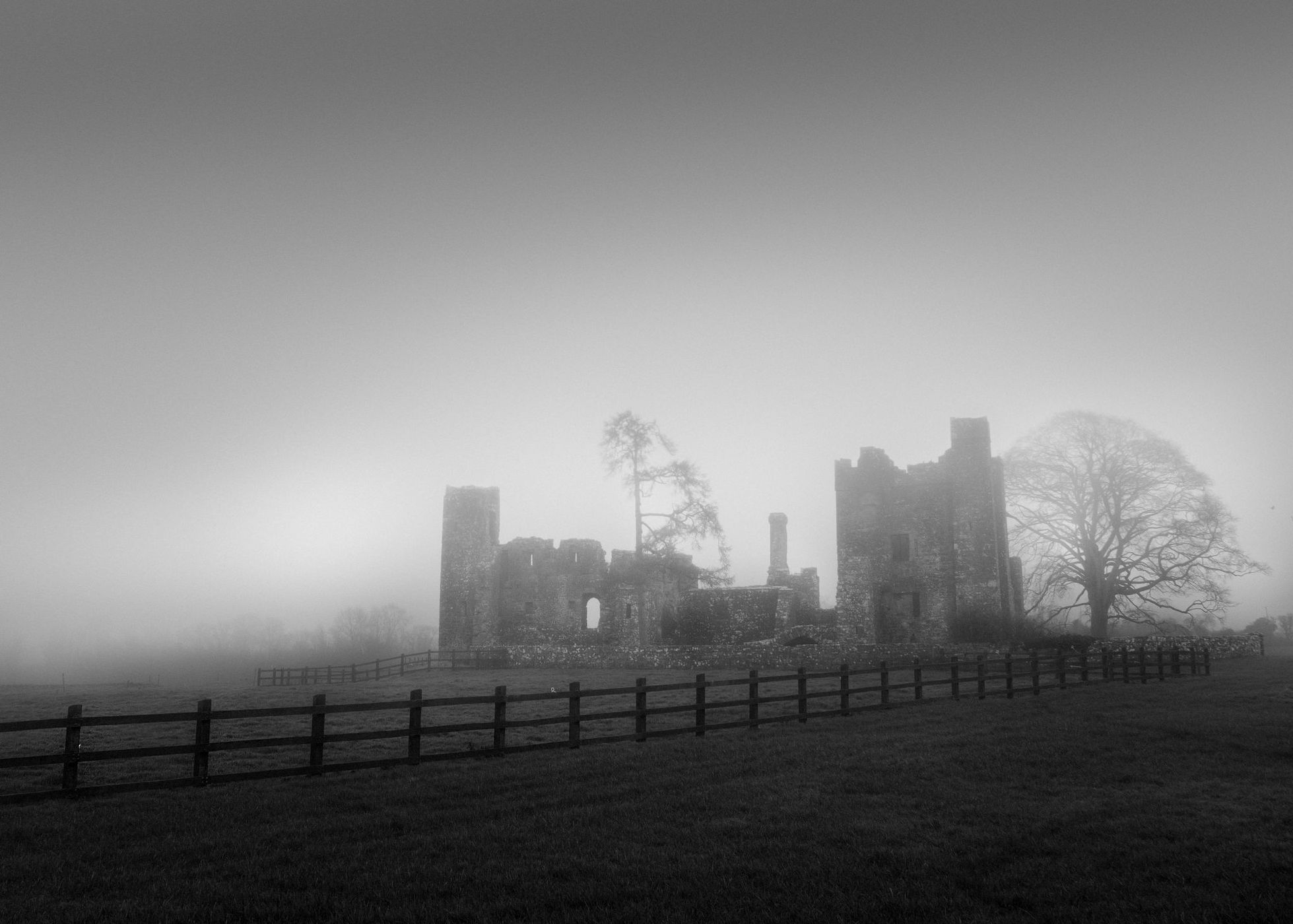 Bective Abbey, Ireland
