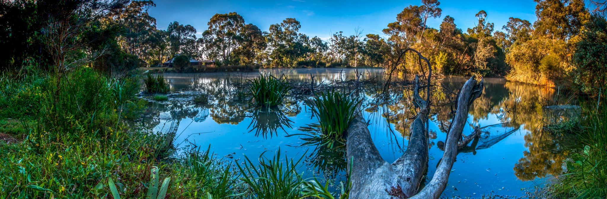 Billabong at Dixons Creek, Victoria, Australia