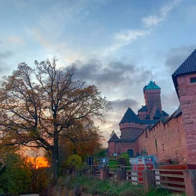 Bosco del castello di Haut Koenigsbourg, France