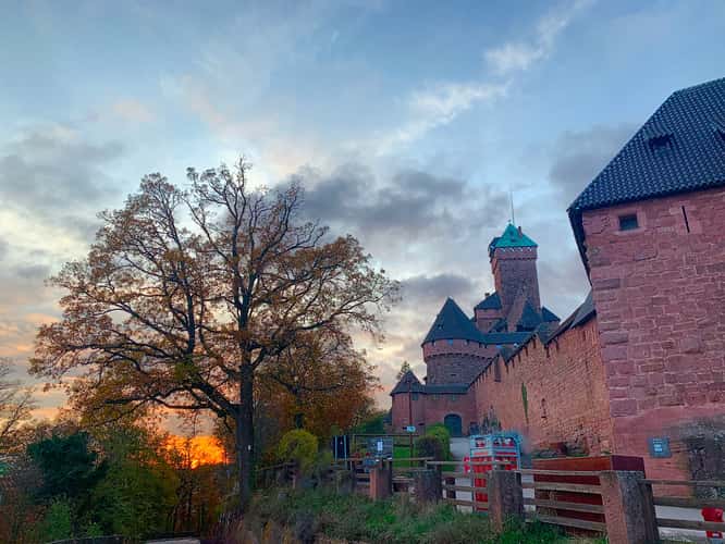 Bosco del castello di Haut Koenigsbourg