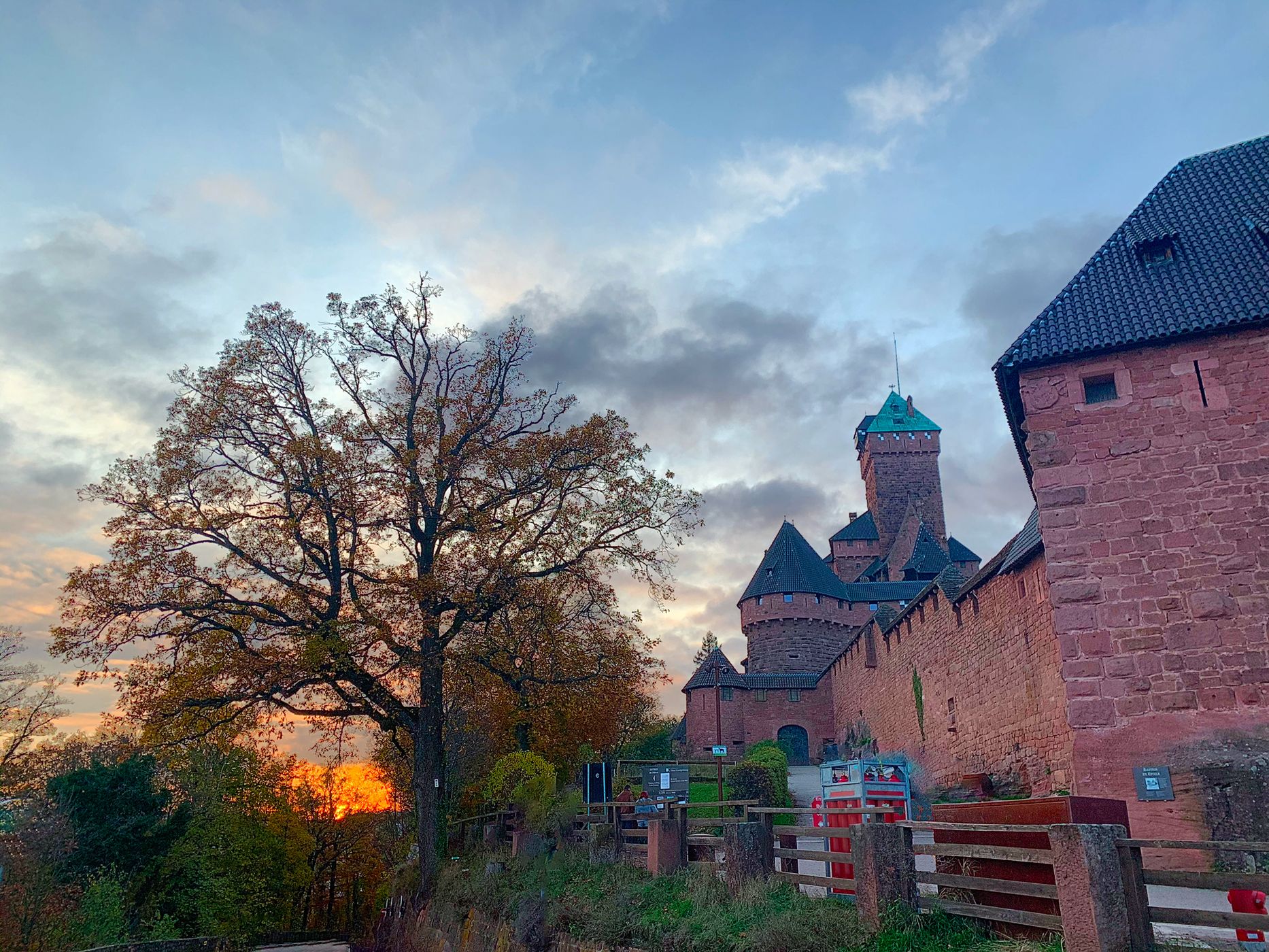 Bosco del castello di Haut Koenigsbourg, France