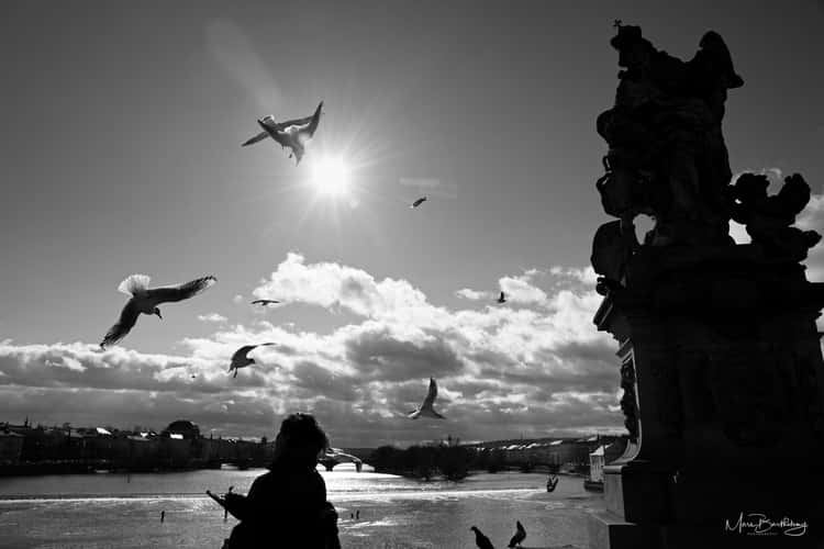 Charles Bridge