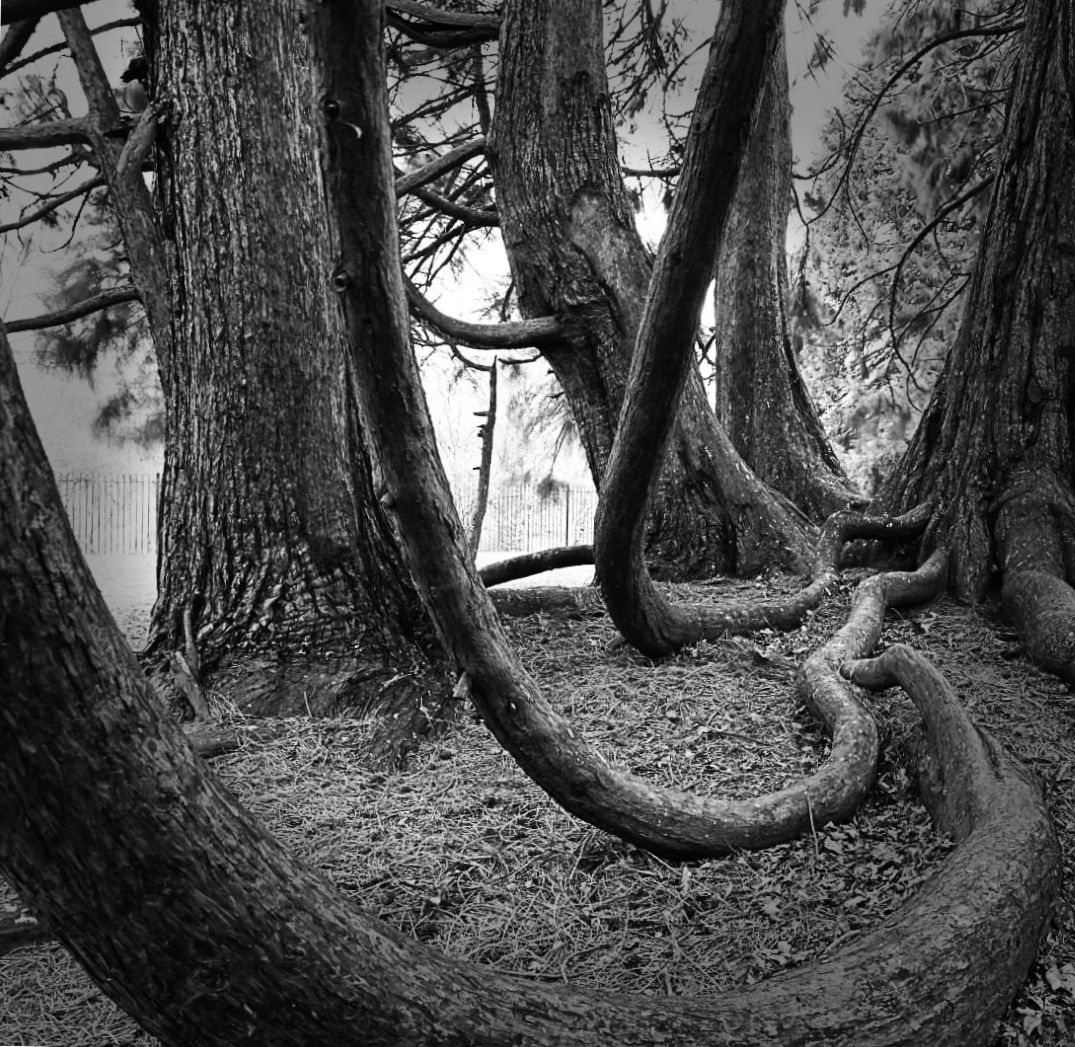 Darlington South Park, United Kingdom