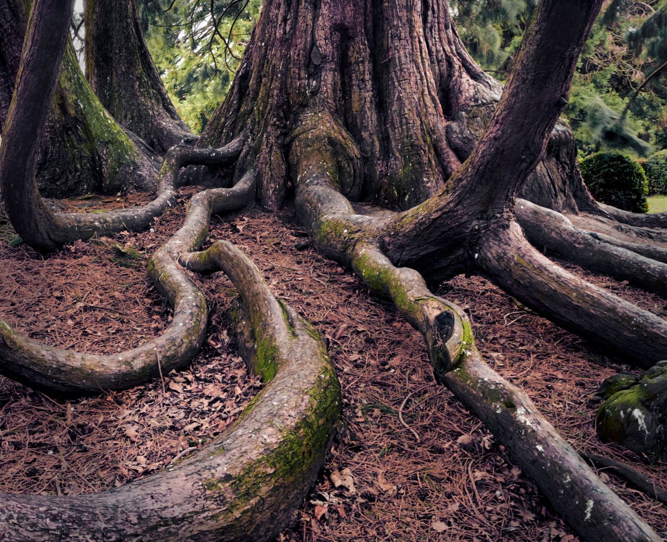 Darlington South Park, United Kingdom