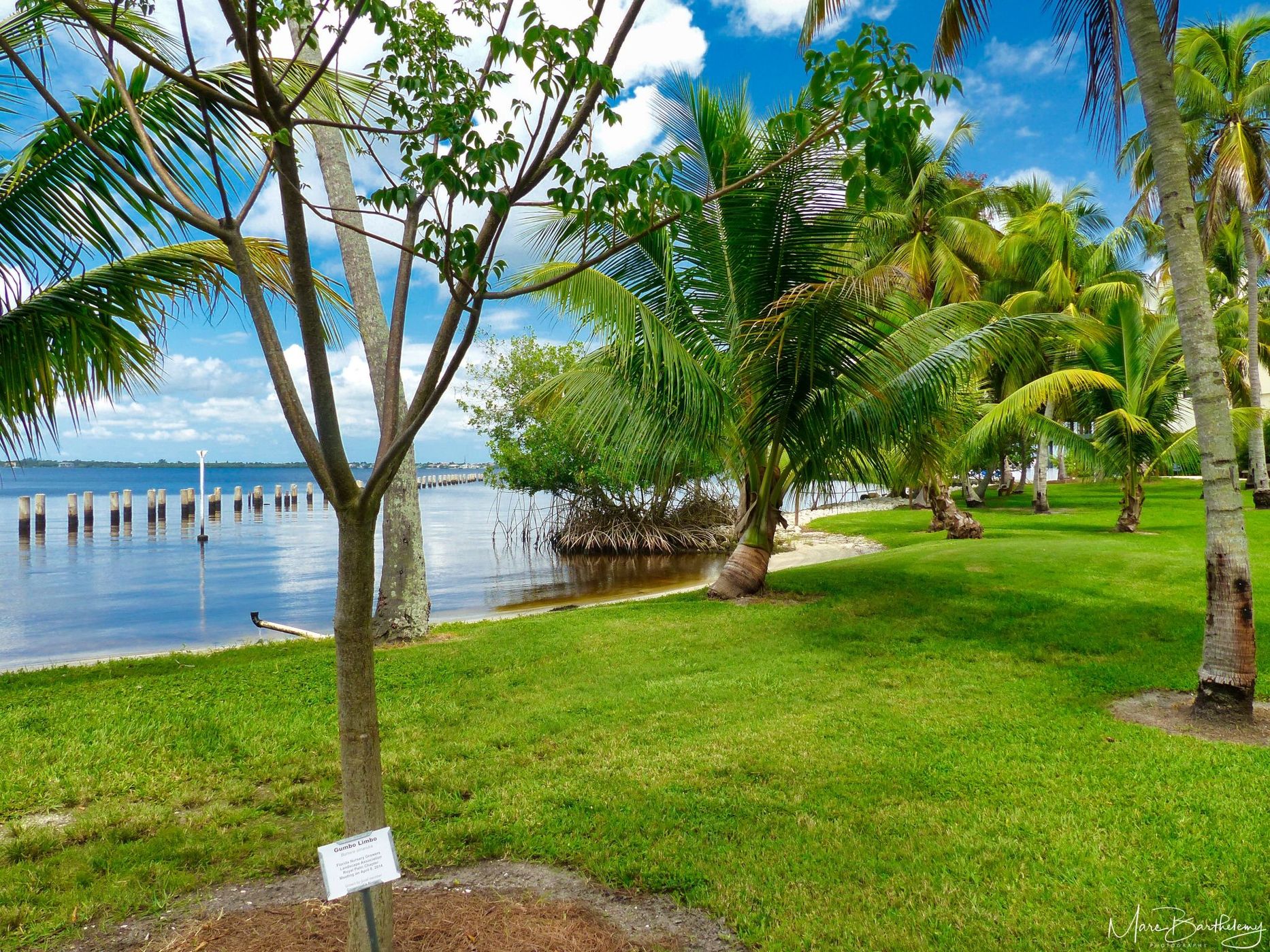 Edison and Ford Winter Estate, USA