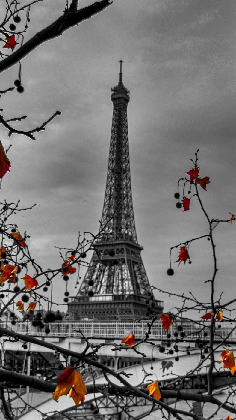 Eiffel tower Autumn Paris, France