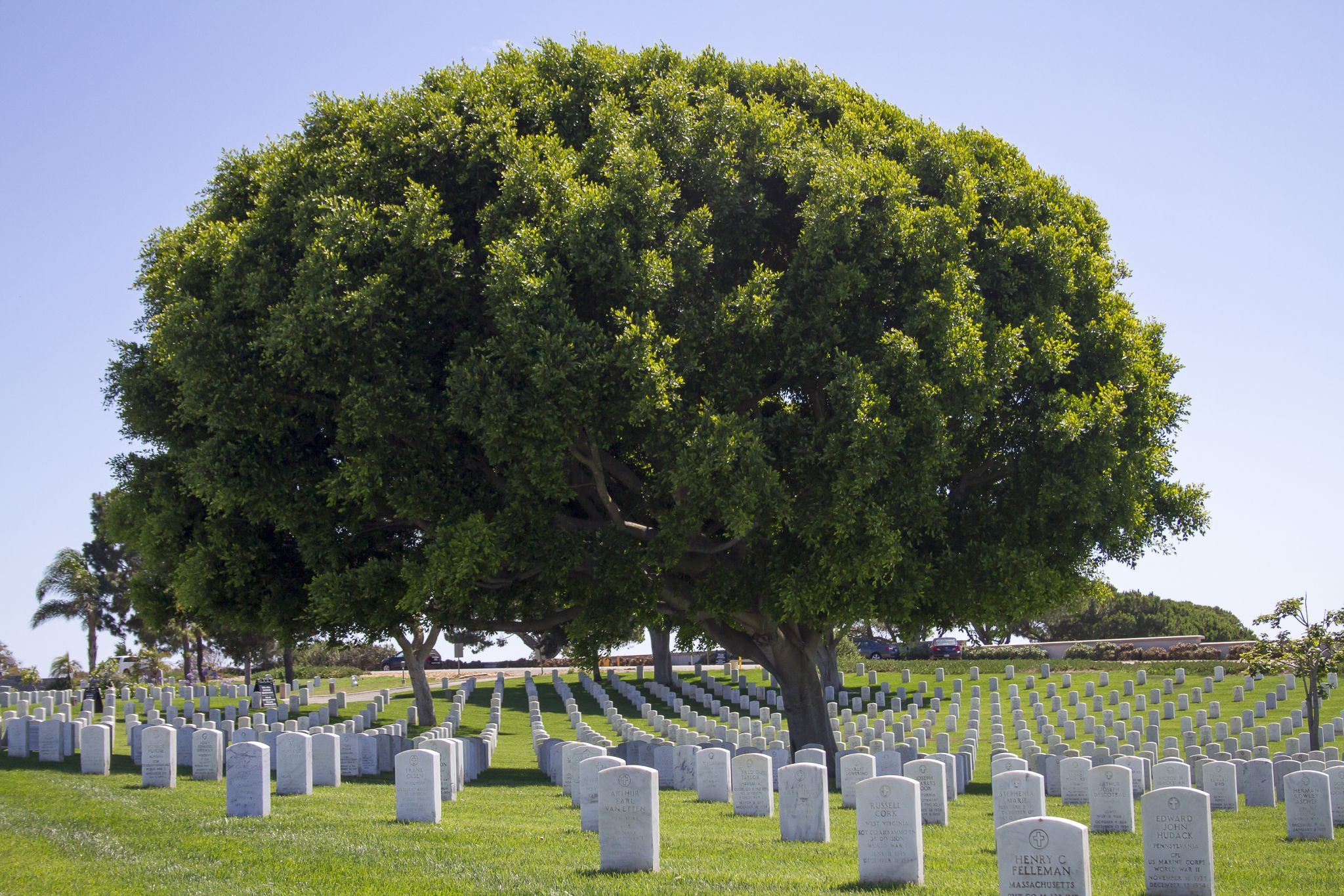 Fort Rosecrans National Cemetery, San Diego, USA