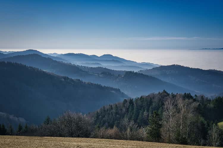 Geiersnest, Blauenblick
