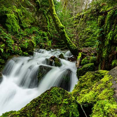 Geroldsauer Wasserfälle Bachlauf, Germany