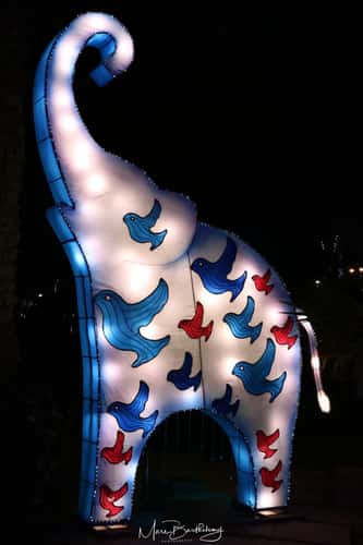 Glow Garden Dubai