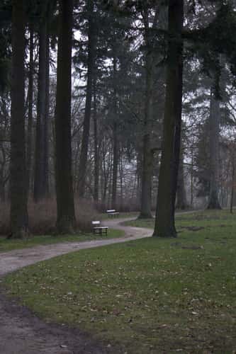 Göhren-Lebbin