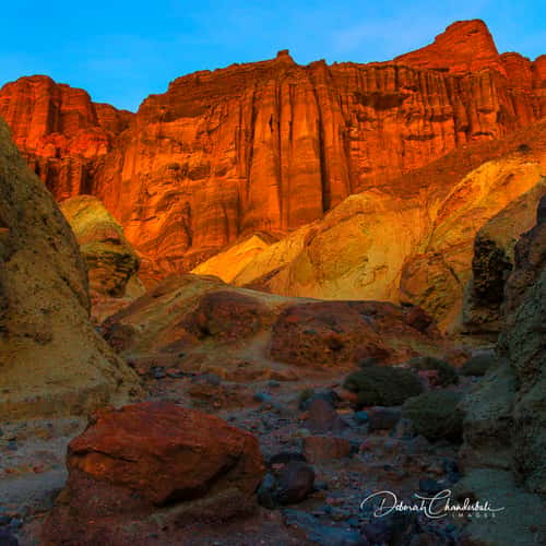 Golden Canyon, Death Valley National Park, Nevada