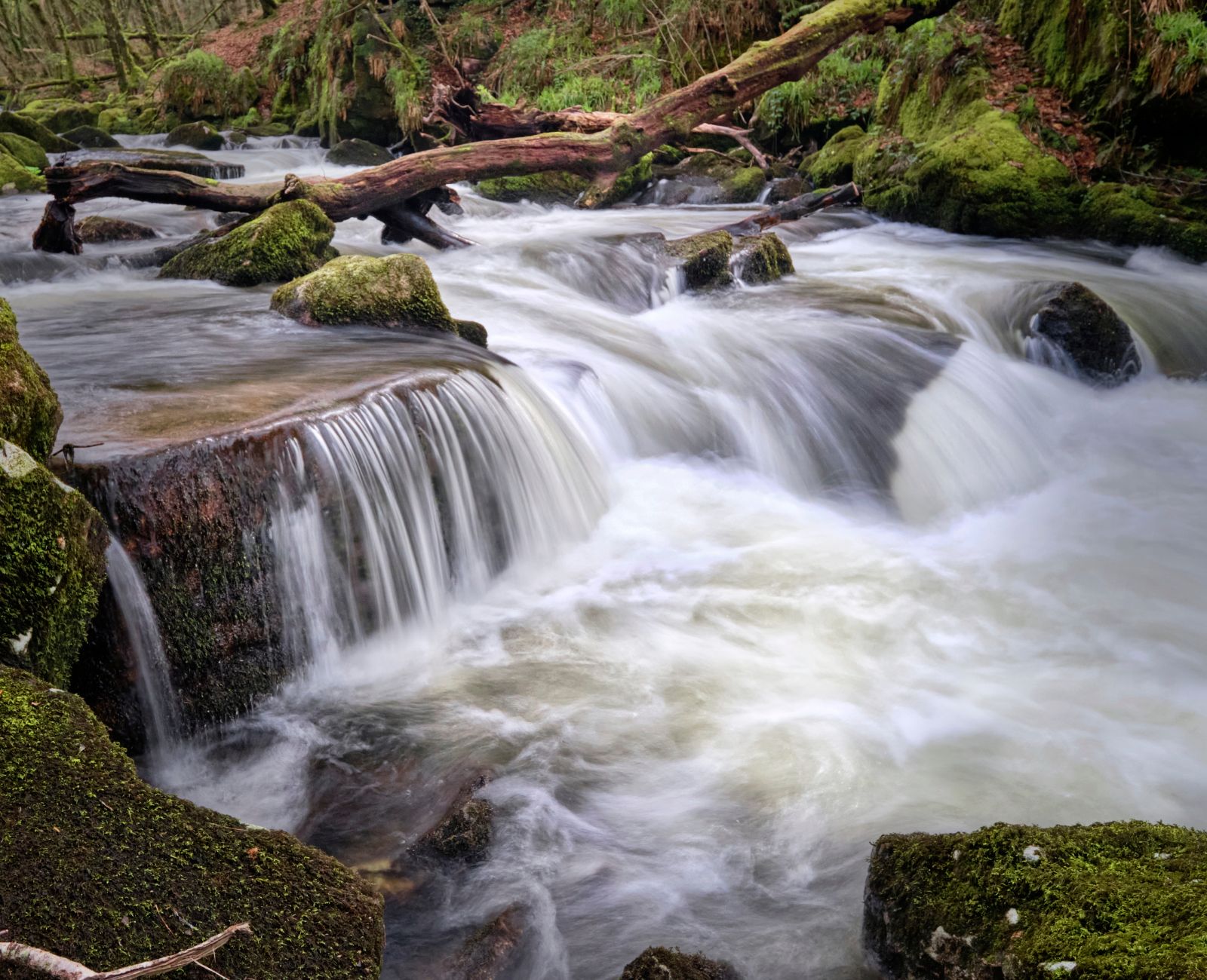 Golitha Falls, United Kingdom