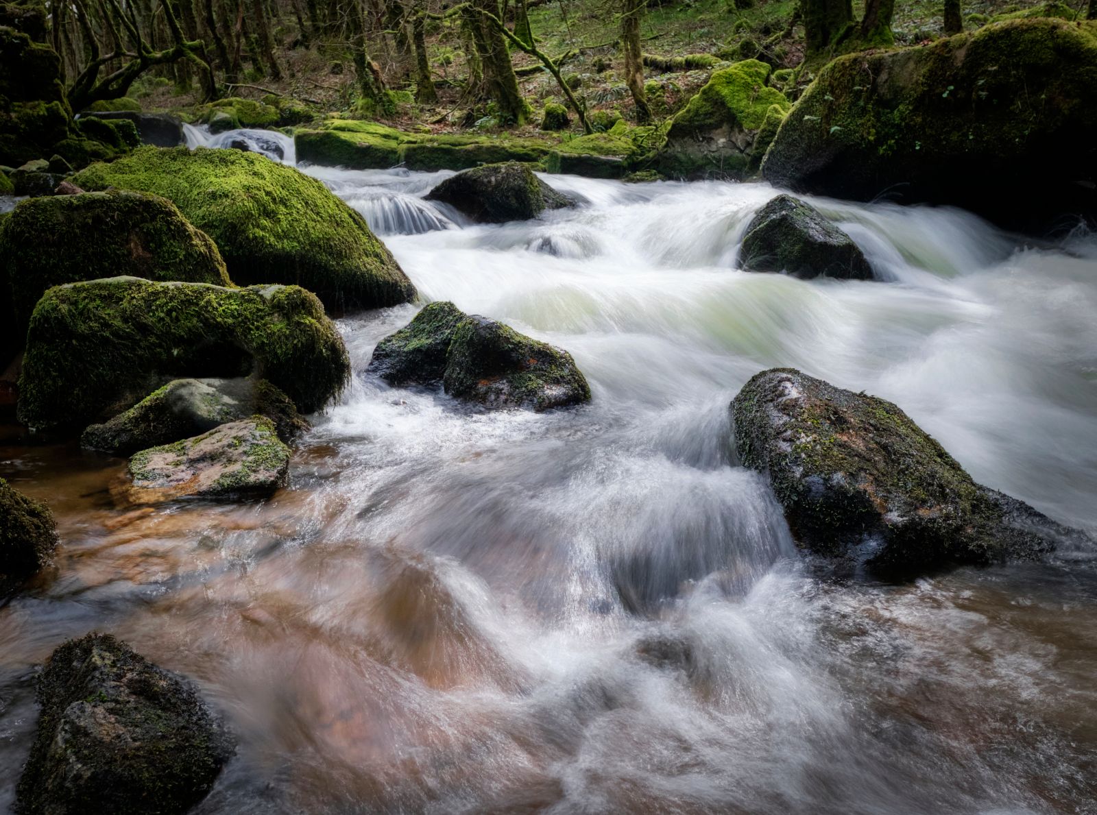 Golitha Falls, United Kingdom