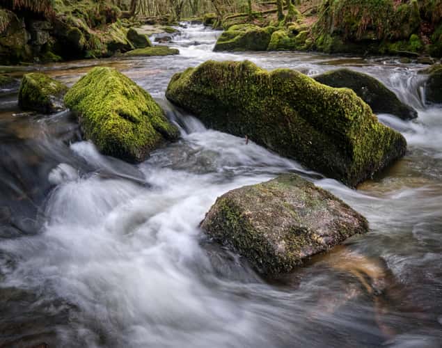 Golitha Falls