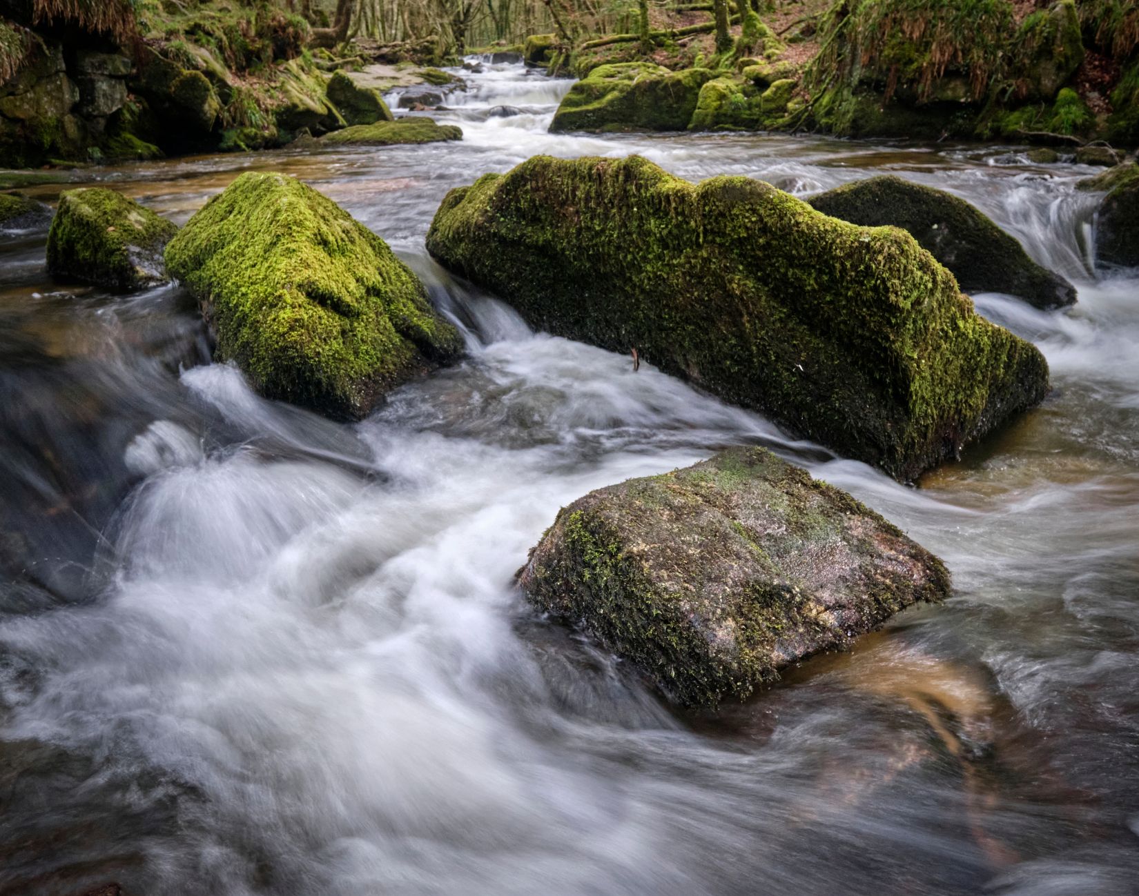 Golitha Falls, United Kingdom